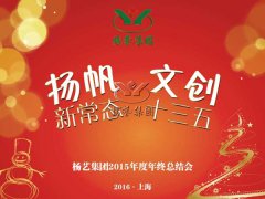 年终会：记2015年终总结大会暨2016年计划会议