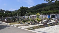 生态葬，让生命在绿意中永恒