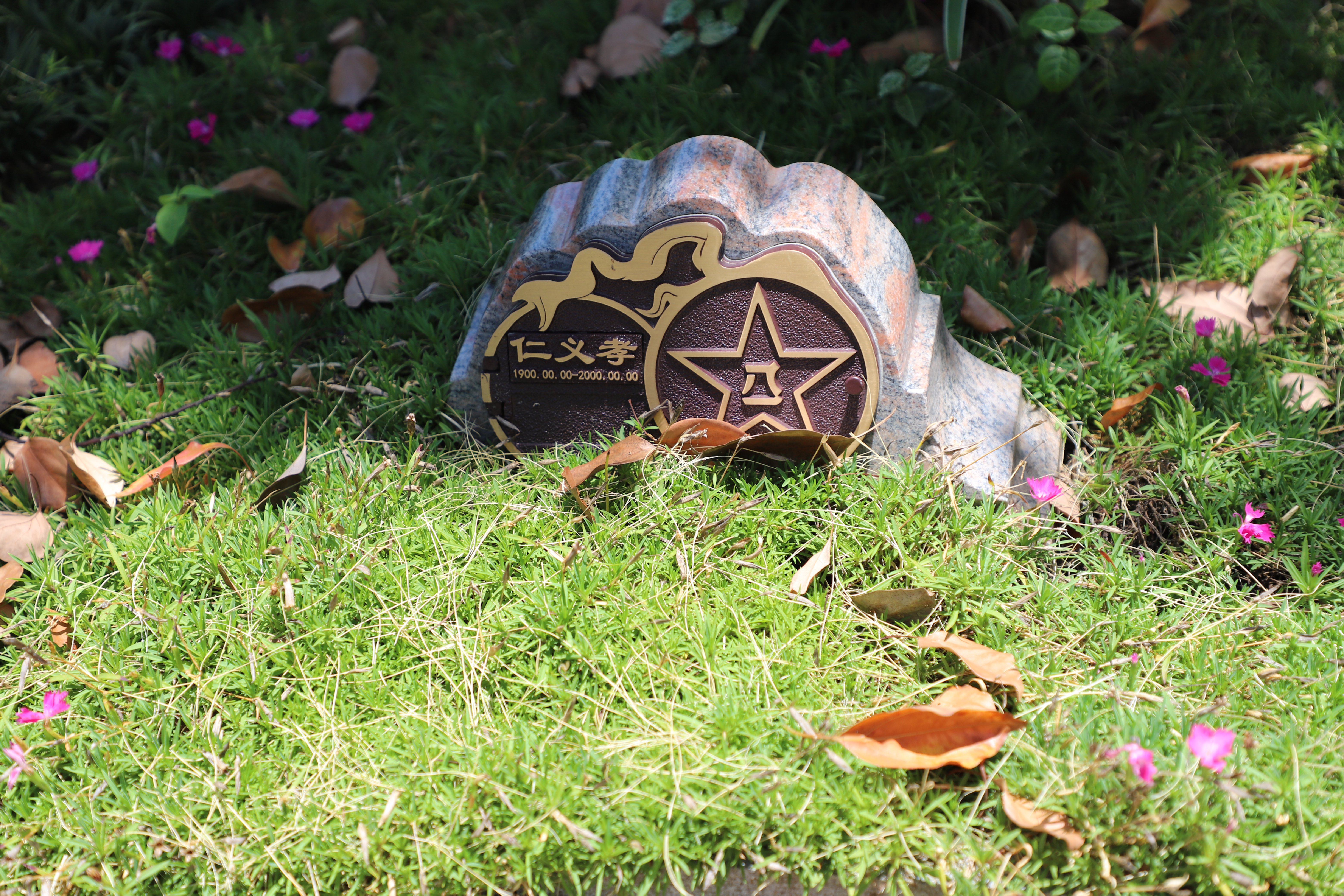 尘归尘，土归土：当生命终与自然相融